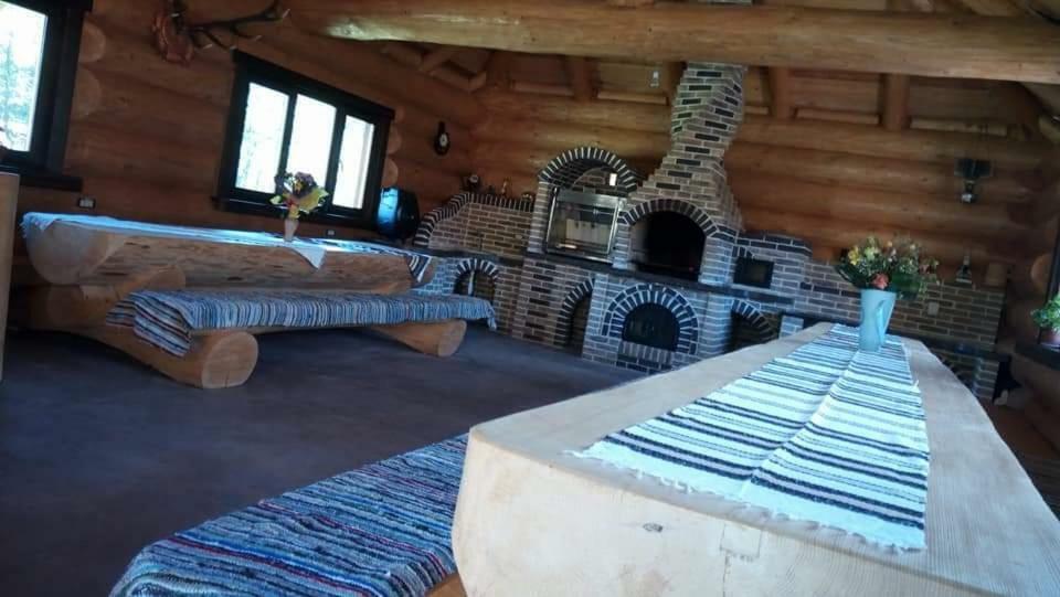 Pensiunea Argela エクステリア 写真